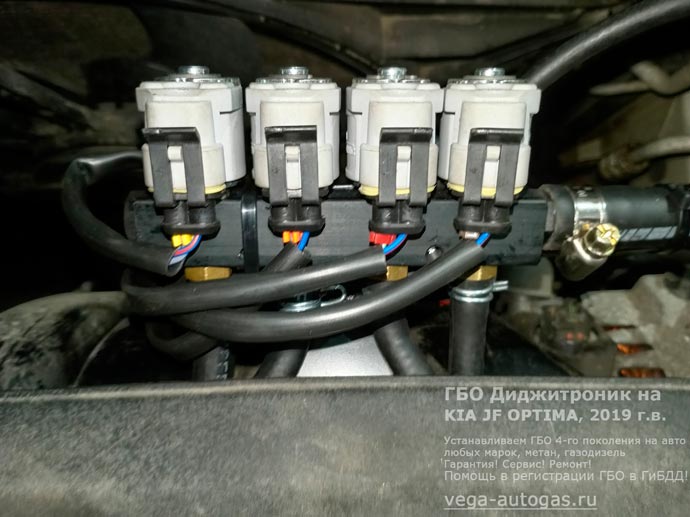 газовая рампа Диджитроник, установка на Киа Оптима 2019 г.в., 2.0 л., 149 л.с., с пробегом 186 900 км., ВЗУ в лючке бензобака, тороидальный баллон 54 литра в багажнике, в нише для запасного колеса, Нижний Новгород, Дзержинск