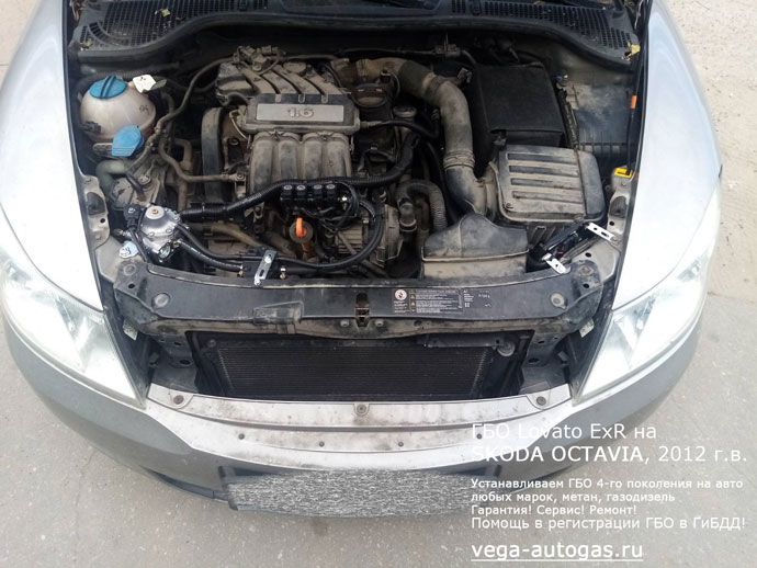 ГБО Ловато EXR в подкапотном пространстве, установка на Шкода Октавия 2012 г.в., 1.6 л., 102 л.с., пробег: 128 026 км., ВЗУ в бампере, термопластиковая магистраль в подарок, 54-литровый тороидальный баллон в багажнике, в нише для запасного колеса, Нижний Новгород, Дзержинск
