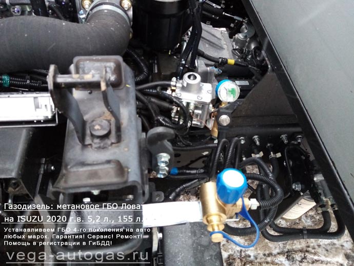 метановое ГБО Lovato в подкапотном пространстве, установка газодизеля на Исузу Эльф 7.5 2020 г.в., 5.2 л., 155 л.с., пробег 124 км., четыре цилиндрических баллона по 50 литров посередине, под кузовом, Нижний Новгород, Дзержинск